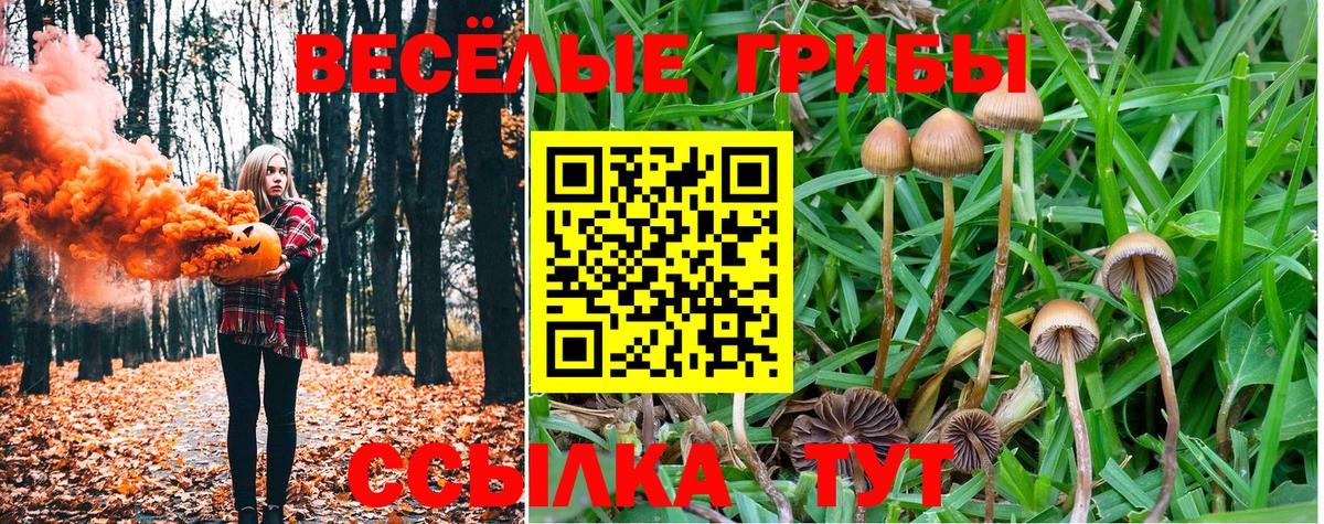 Галлюциногенные грибы Cubensis Электрогорск