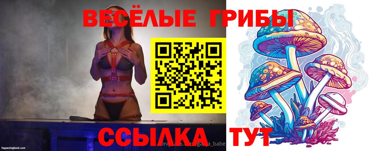 купить закладку  Вход с VPN  Электрогорск  Галлюциногенные грибы MAGIC MUSHROOMS 